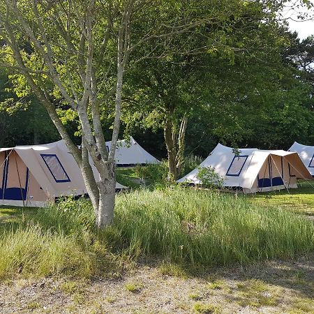 Ameland Tentenverhuur ネス エクステリア 写真