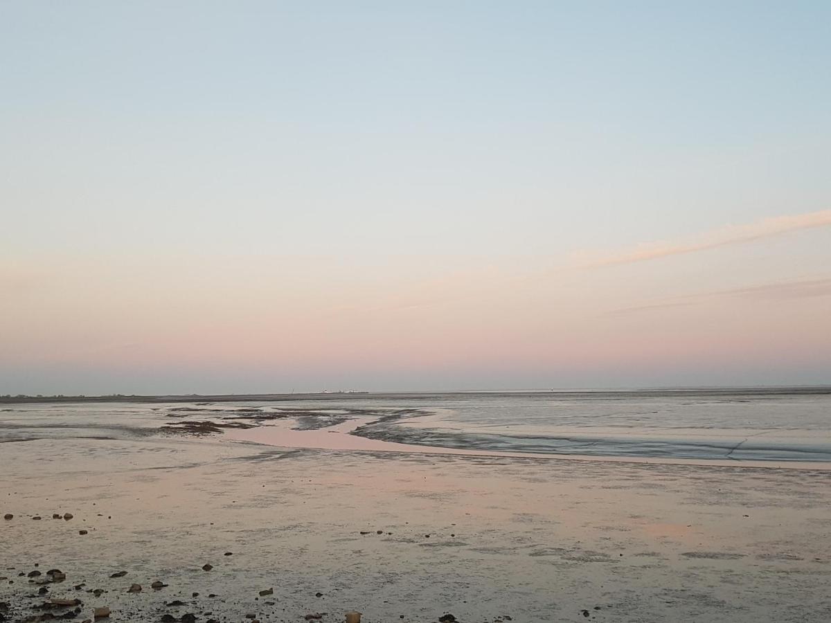 Ameland Tentenverhuur ネス エクステリア 写真