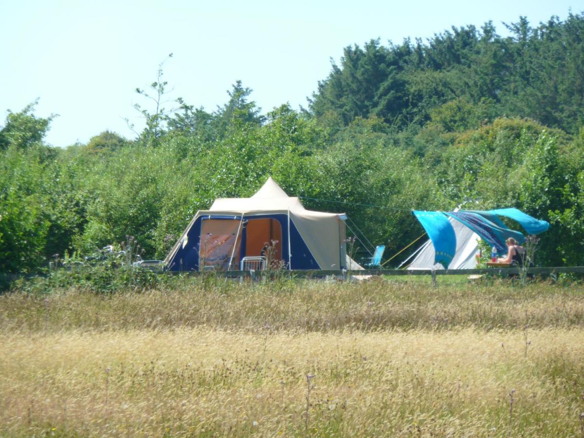 Ameland Tentenverhuur ネス エクステリア 写真