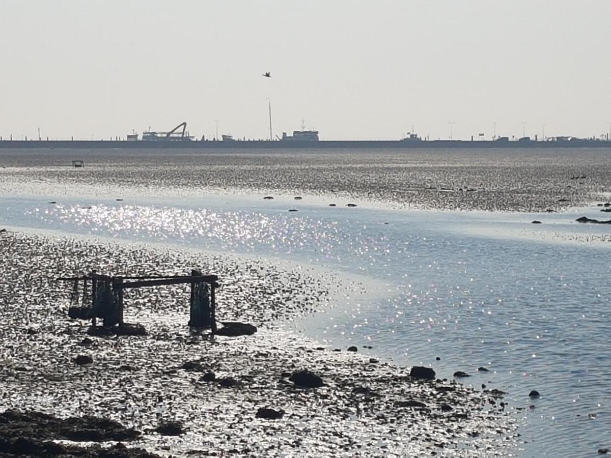 Ameland Tentenverhuur ネス エクステリア 写真