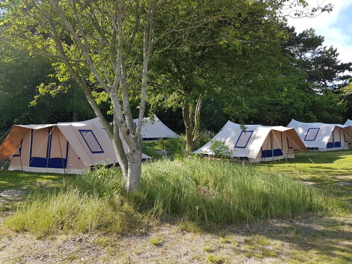 Ameland Tentenverhuur ネス エクステリア 写真