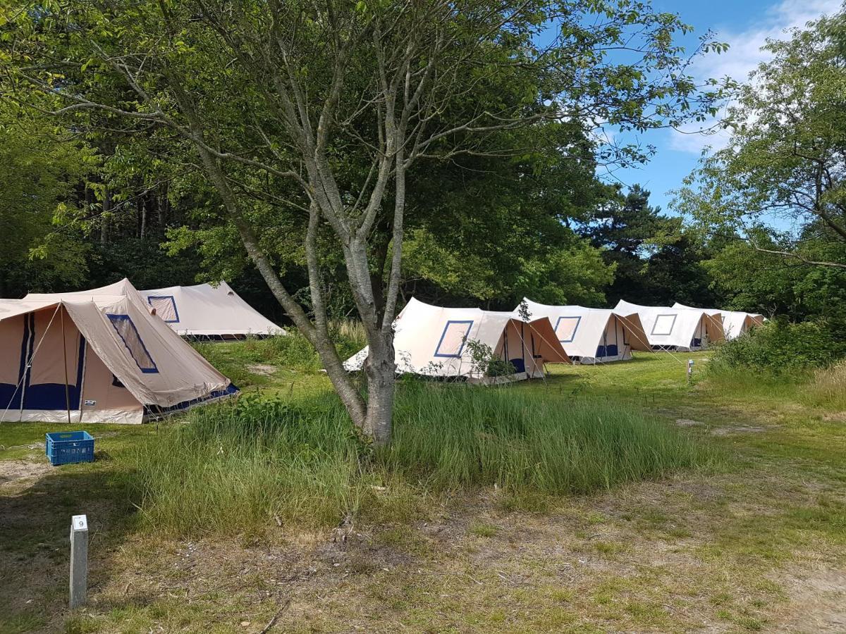 Ameland Tentenverhuur ネス エクステリア 写真
